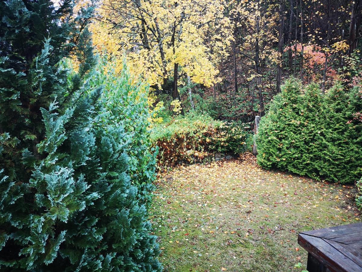 Pension Living Chill Altenau  Kültér fotó