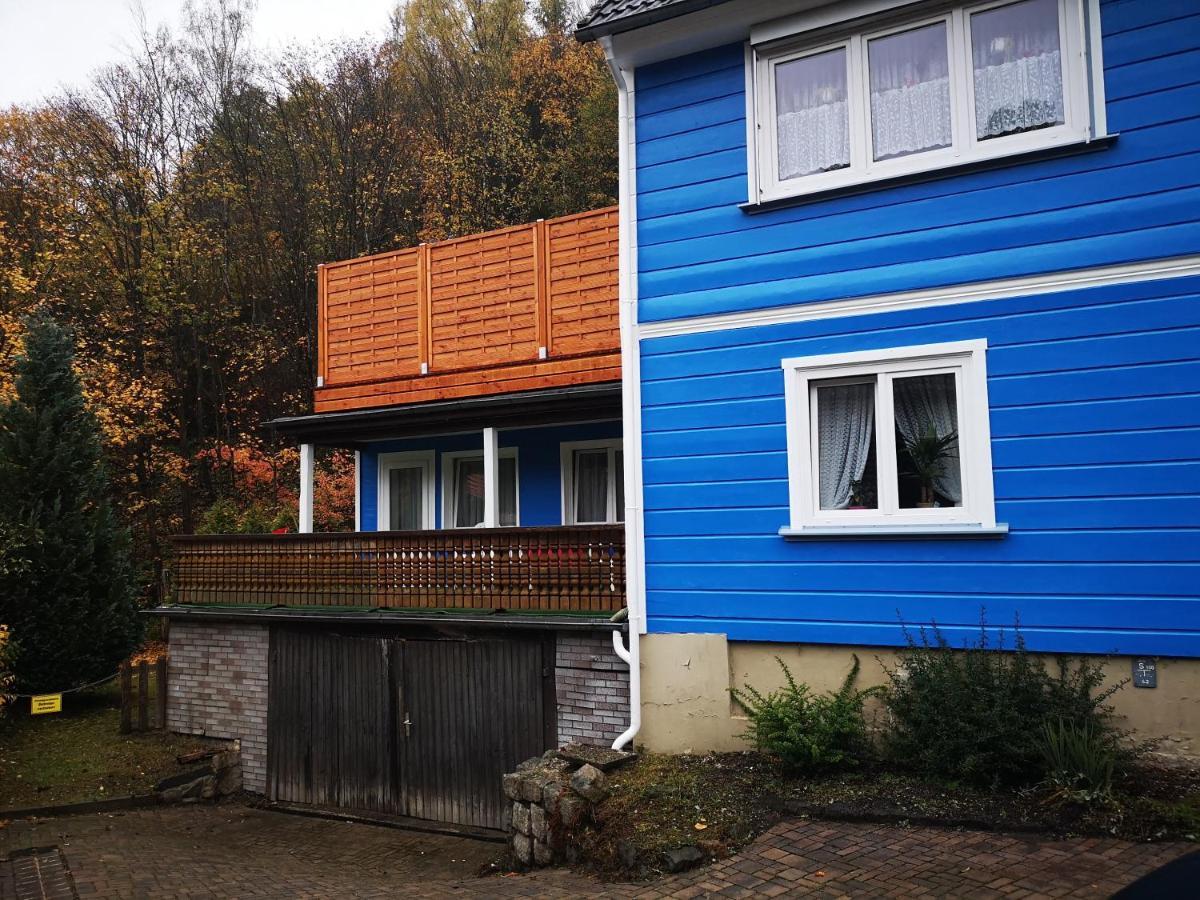 Pension Living Chill Altenau  Kültér fotó
